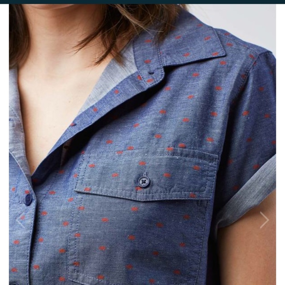 Chambray United by Blue buttondown: bison print